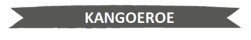 Kangoeroe