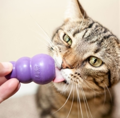 Speeltjes voor de kat