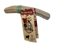 I&amp;I Pets Red deer gewei