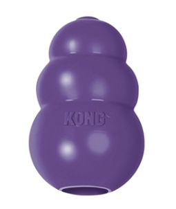 kong senior