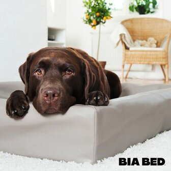 Bia Bed