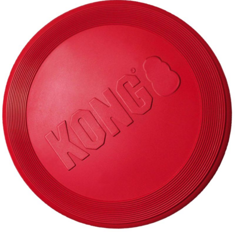 Kong flyer frisbee