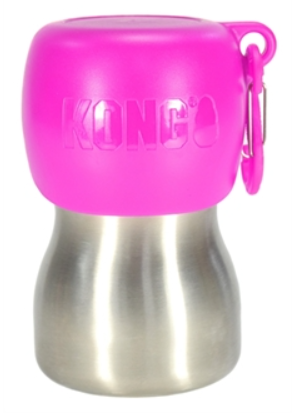 Kong H2O drinkfles RVS