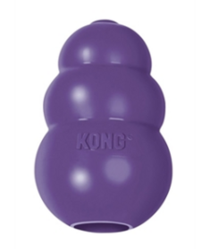 Kong senior